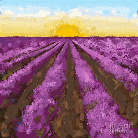 Sunset Over Lavender Field Painting By D Tao Fine Art America