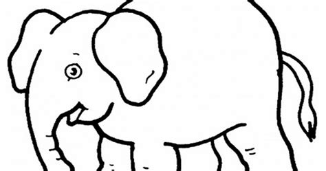 Download gambar sketsa gajah perkembangan gambar co id. Sketsa Gambar Gajah Kartun - Contoh Sketsa Gambar