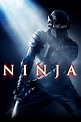 Ninja (2009) — The Movie Database (TMDB)