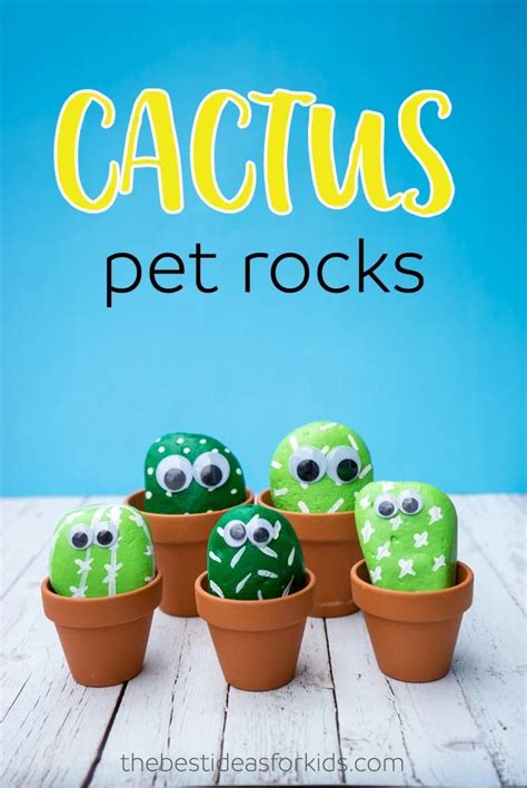 Pet Cactus Rocks The Best Ideas For Kids