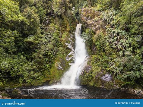 1155 Waterfall Rainforest New Zealand Photos Free And Royalty Free