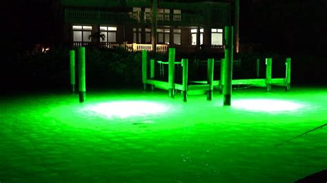 Fishing Green Dock Lights For Snook Youtube