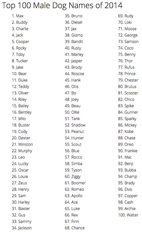 The 25 Best Dog Names Male Ideas On Pinterest Dog Names Male Names