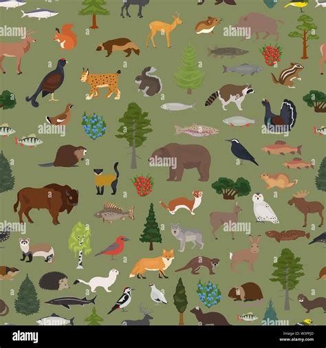 Taiga Animals And Plants