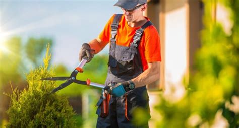 Aprire Partita Iva Come Giardiniere Come Fare Costi E Requisiti