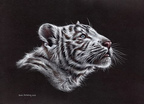 White Tiger Cub Painting By Sarah Stribbling Fine Art America