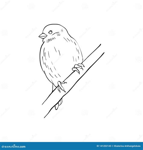 Bird At Tree Branch Stock Vector Illustration Of Flock 141202145