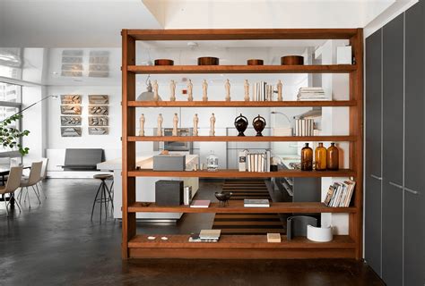15 Inspirations Bookcases Room Divider
