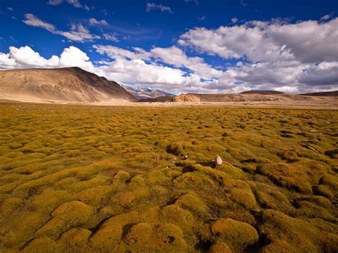 10 Most Unique Natural Landscapes In The World