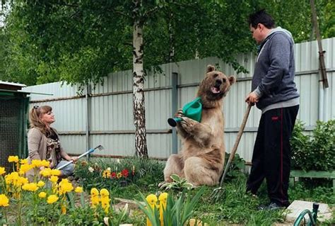 russian couple adopted an orphaned bear cub 25 years ago and they still live together women