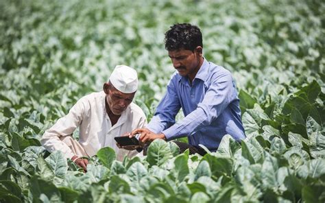 Plantix How An Agritech Start Up Is Helping Indian Farmers Fight Crop
