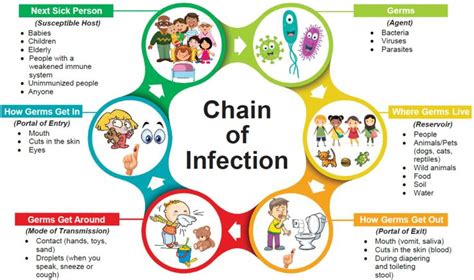 The Chain Of Infection If We Think Of It As An Actual Chain Is Made