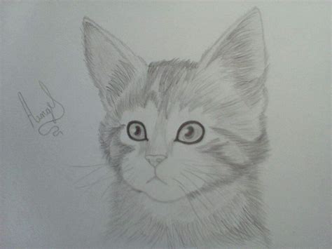 Dibujos A Lapiz De Gatos Como Dibujar Un Gato Facil Paso A Paso A Lapiz Aprender A