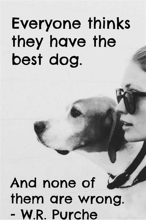 The 25 Best Dog Best Friend Quotes Ideas On Pinterest