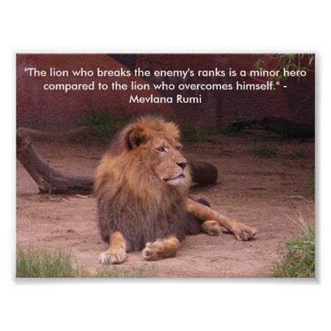 Beautiful Lion Quotes Quotesgram