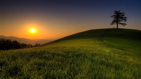 Photography Of Green Grass Field During Sun Rise Hd Wallpaper