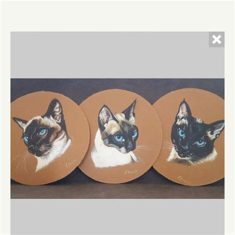 Original Siamese Cat Paintings Trio Of Gouache Cat Paintings