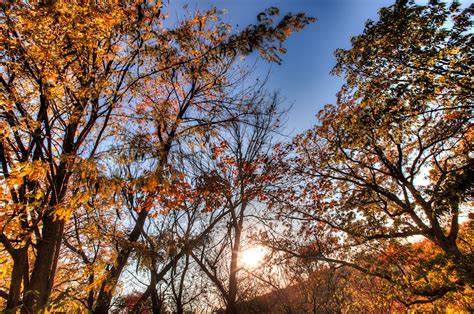 Fall Foliage At Kansas Citys Cliff Drive Eric Bowers Photoblog
