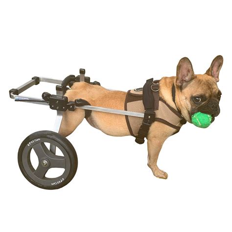 Buy K9 Carts Dog Wheelchair For Back Legs Small Medium Made In The