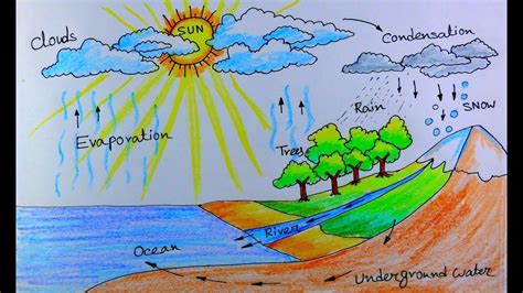 How To Draw Water Cycle Of A School Project With Images Water