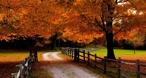 Road Fall Leaves Meadows Grass Orange Beautiful Forest Trees Fences Autumn Wallpapers