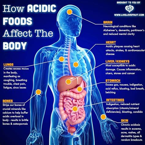 20 Signs Your Body Is Too Acidic And How To Fix It Live Love Fruit