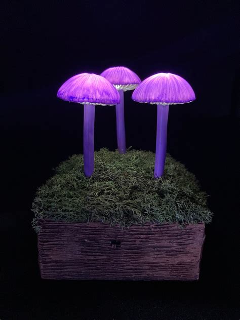 Purple Glow Mushroom Lamp Gothic Lamp Led Psychedelic Lamp Etsy