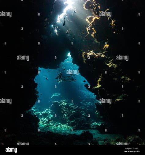 Caves And Landscape Underwater Stock Photo Alamy