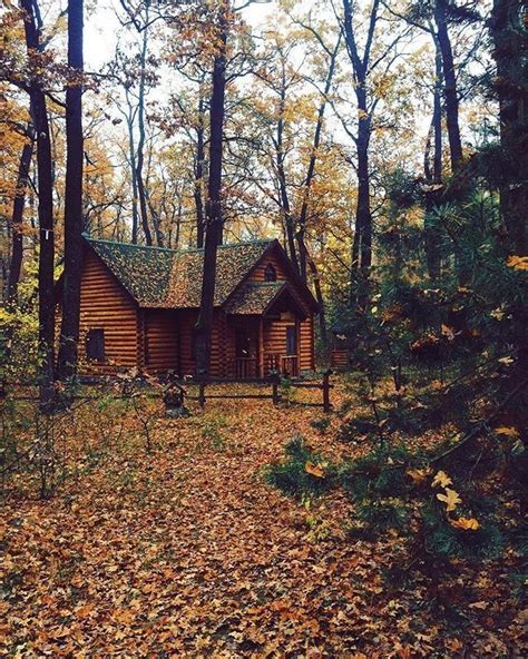 Cozy Cabin In The Woods Big Cabin Cabin Life Forest Cabin Forest