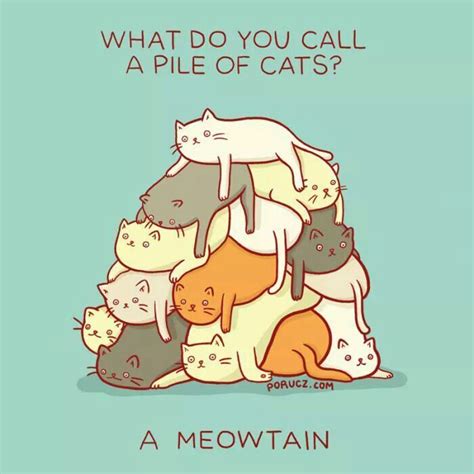 That is punny, meow! | Cat jokes, Cat puns, Cheesy jokes