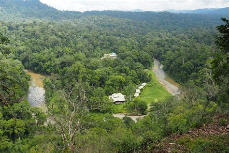Borneo Rainforest Lodge Danum Valley Sabah Borneo Zoochat