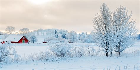 bekijk de albelli tips voor winterse foto s om dit seizoen de beste foto s te maken