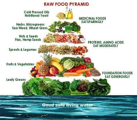 Vegan Diet Mayo Clinic Diet Plan