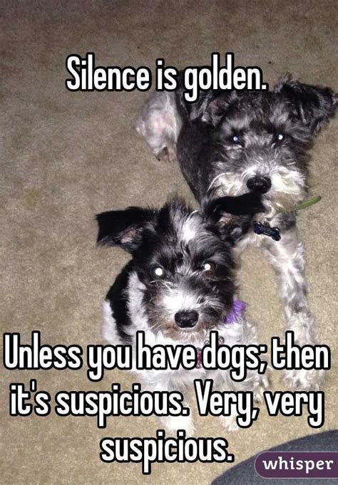 Silence Is Golden Unless You Have Dogs Then Its Suspicious Very