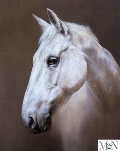 Horse Oil Portraits Gallery By Nicholas Beall