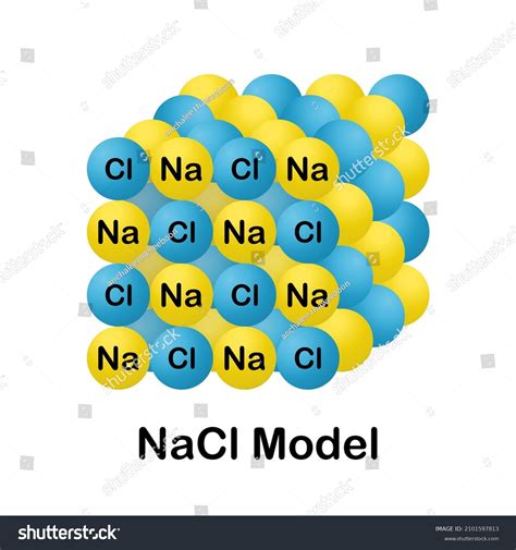 Structure Sodium Chloride Saltnacl Modelvector Illustrationchemistry