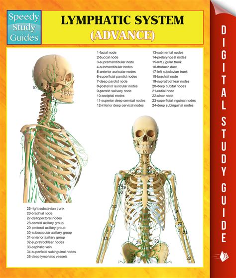 Lymphatic System Advanced Speedy Study Guides By Speedy Publishing
