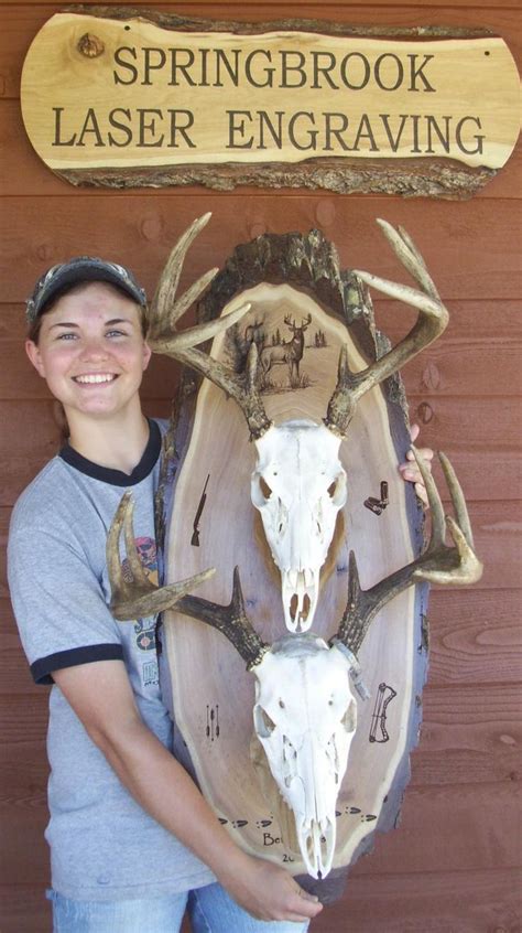 While unsuitable for many tabletop ideas, they make stunning wall mounts and can hang dramatically from the ceiling if you have the space. 19 best images about Rustic Deer Mounting Boards on Pinterest