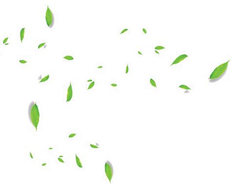 If you like, you can download pictures in icon format or directly in png image format. Download Falling Green Leaves Png Transparent Image ...