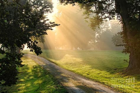 Morning On Country Road Photograph By Olivier Le Queinec Fine Art America