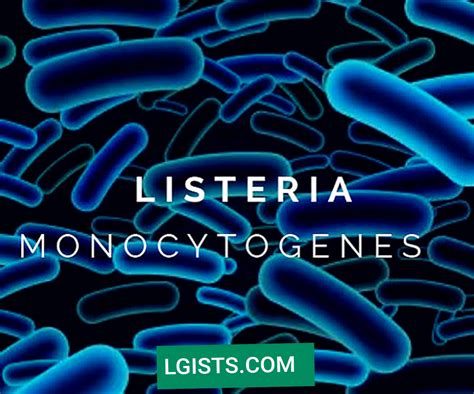 Listeria Monocytogenes Cause And Symptoms Lgists Media Informative