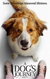 A Dogs Journey Movie HD Posters - Social News XYZ