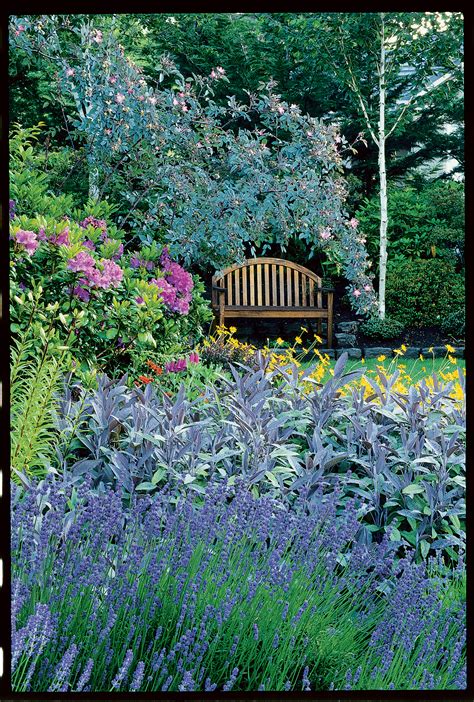 Your Guide To Growing An English Cottage Garden In The West Sunset