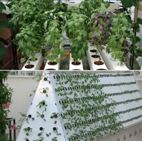 Aeroponic System Benefits Components A Full Guide Gardening Tips
