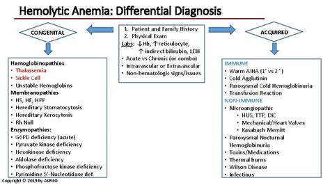 Congenital And Acquired Hemolytic Anemias Rachael Grace Md