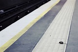 Night Tube: What Will Happen To The London Underground Mice? | Londonist