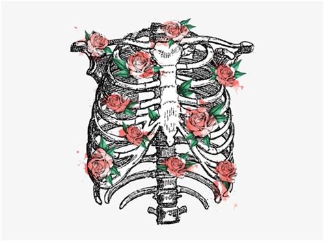 Image About Flowers In Rib Cage Tumblr Png X Png Download Pngkit