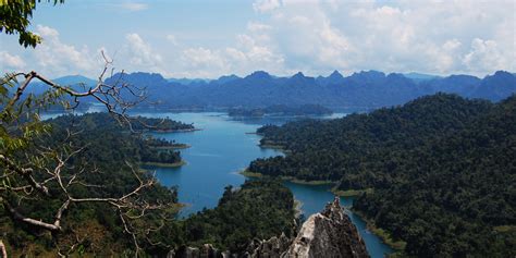 Visiting The Ancient Forests Of Khao Sok National Park Gvi