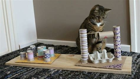 katzenspielzeug selber machen fantastische ideen für katzenliebhaber in 2020 katzen spielzeug