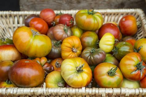 WhatÍs So Special About Heirloom Tomatoes Southern Living